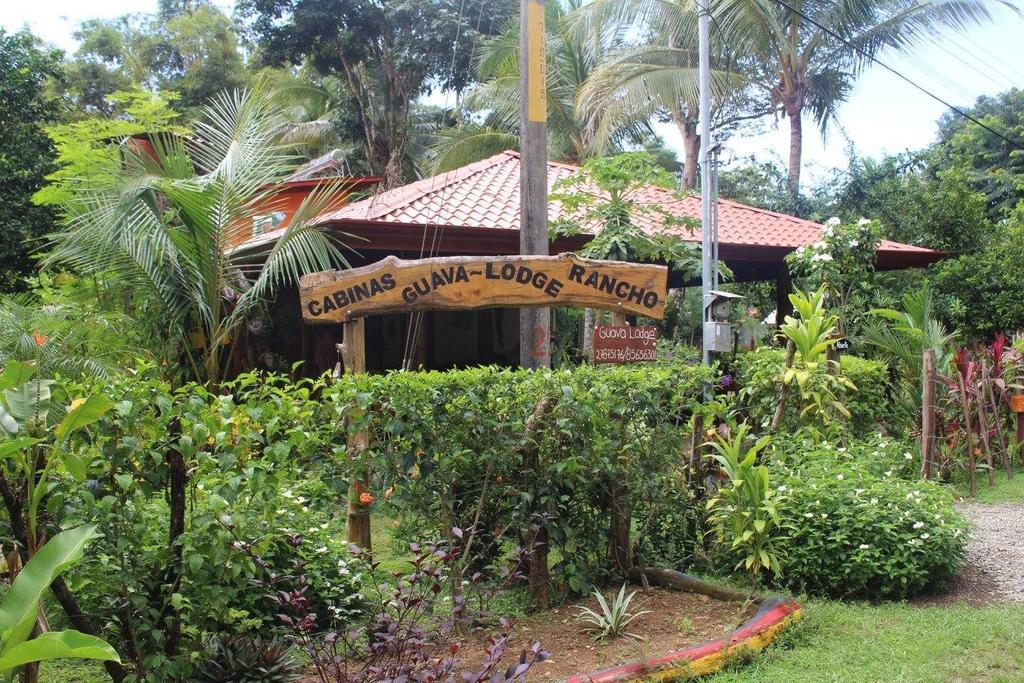 Guava Lodge Playa Matapalo Екстериор снимка