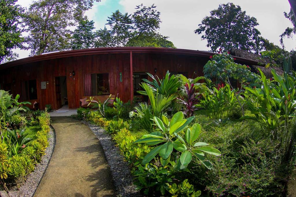 Guava Lodge Playa Matapalo Екстериор снимка